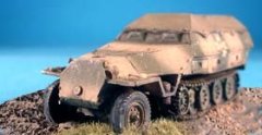SdKfz 251/1 Ausf. D w/Tilt Cover - SdKfz 251/8 Ambulance